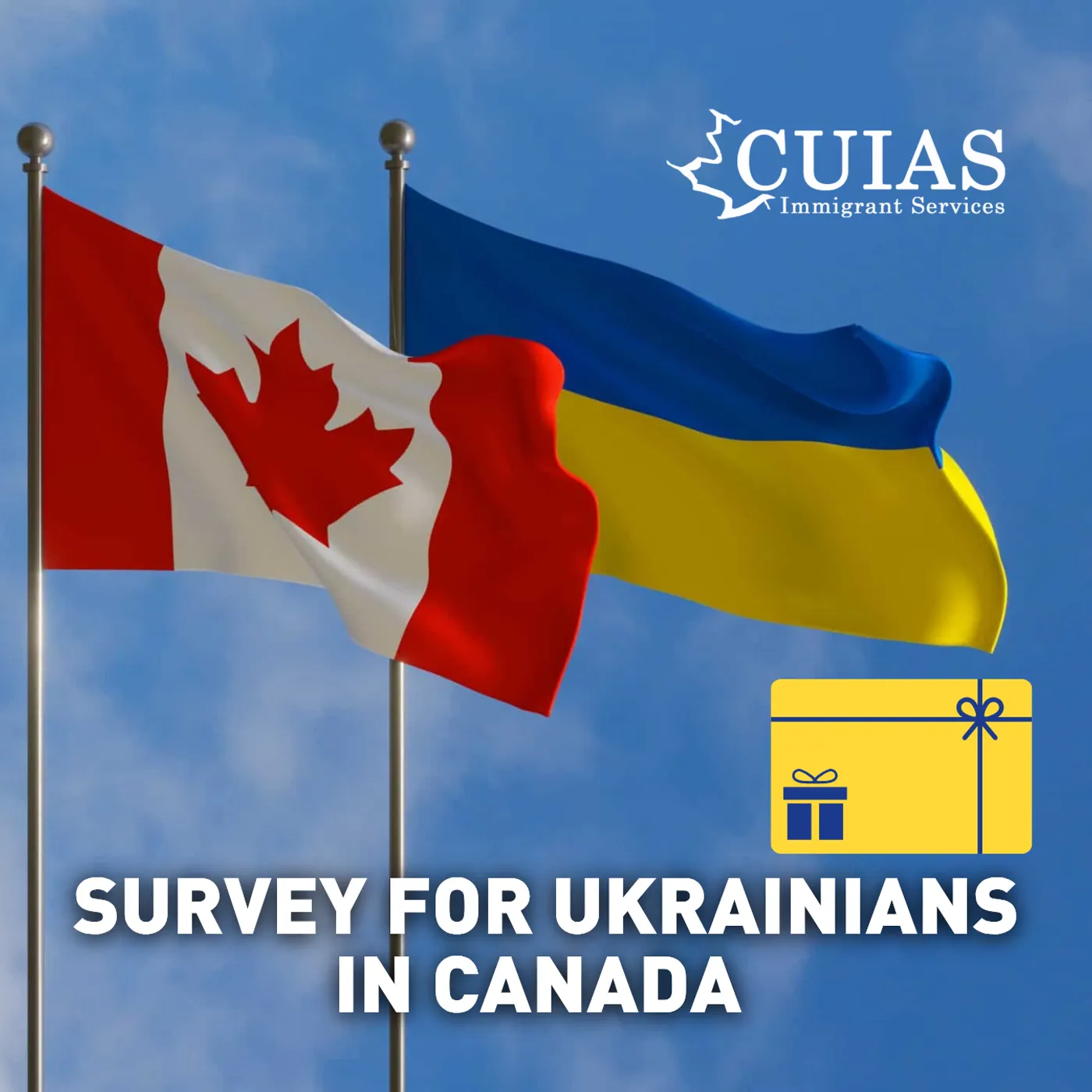 survey